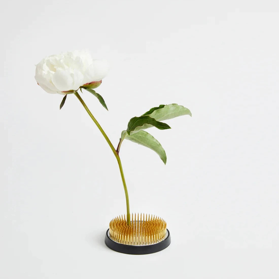 Saikai Japanese Flower Frog - Bloomfields Saikai Japanese Flower Frog - Bloomfields