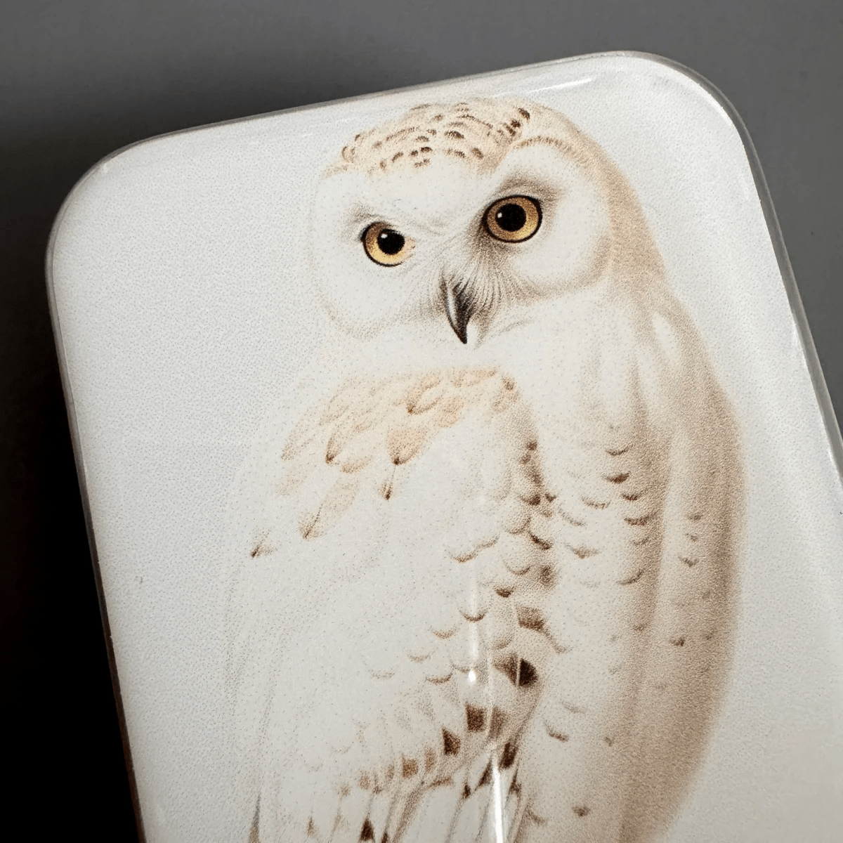 Snowy Owl, Notions Tin - Bloomfields