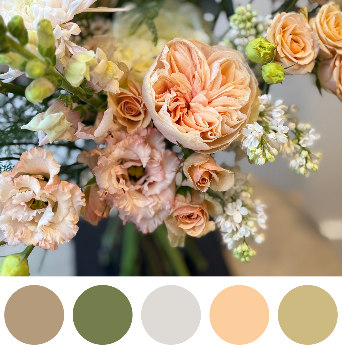 Soft Harmony - Bloomfields