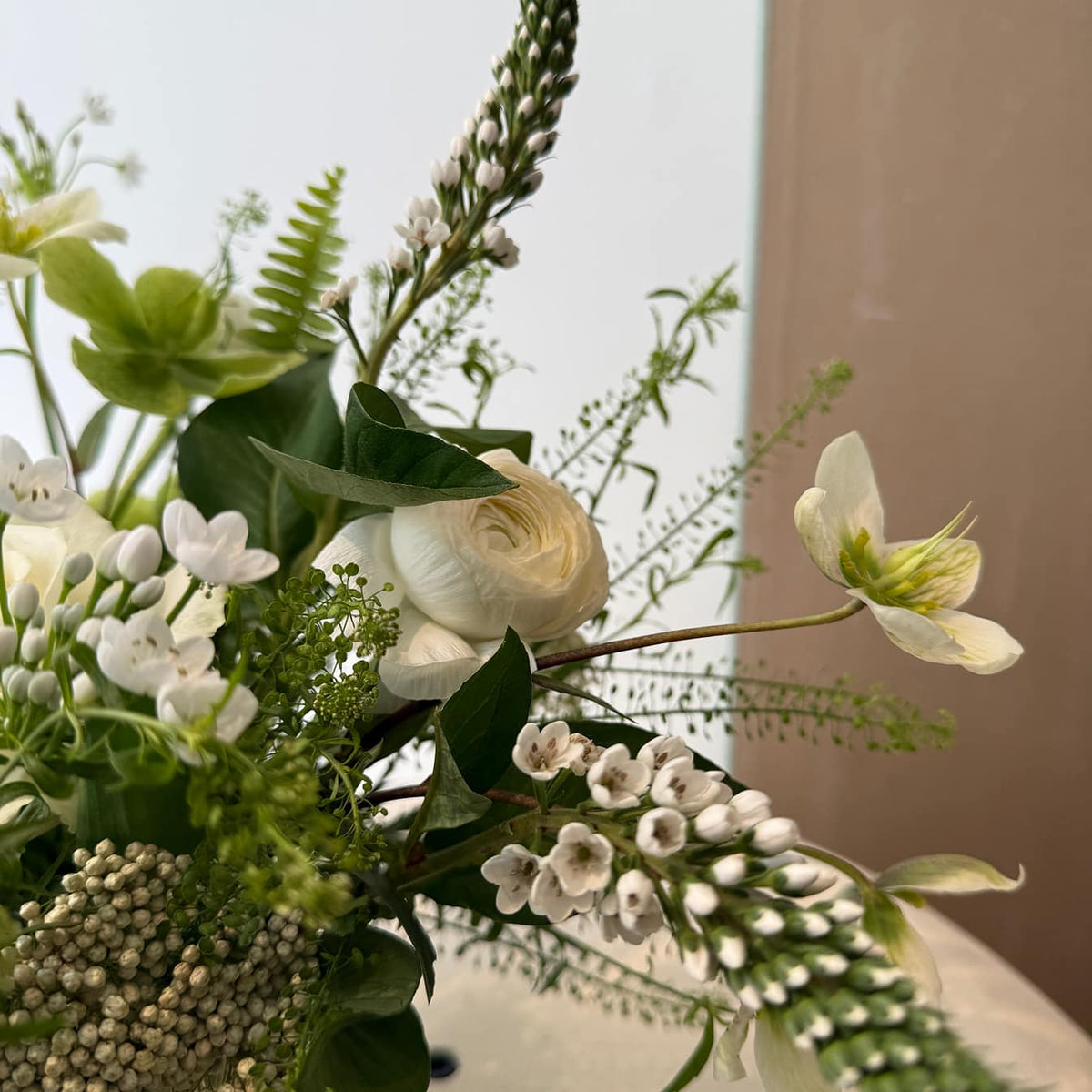 Spring light - Bloomfields