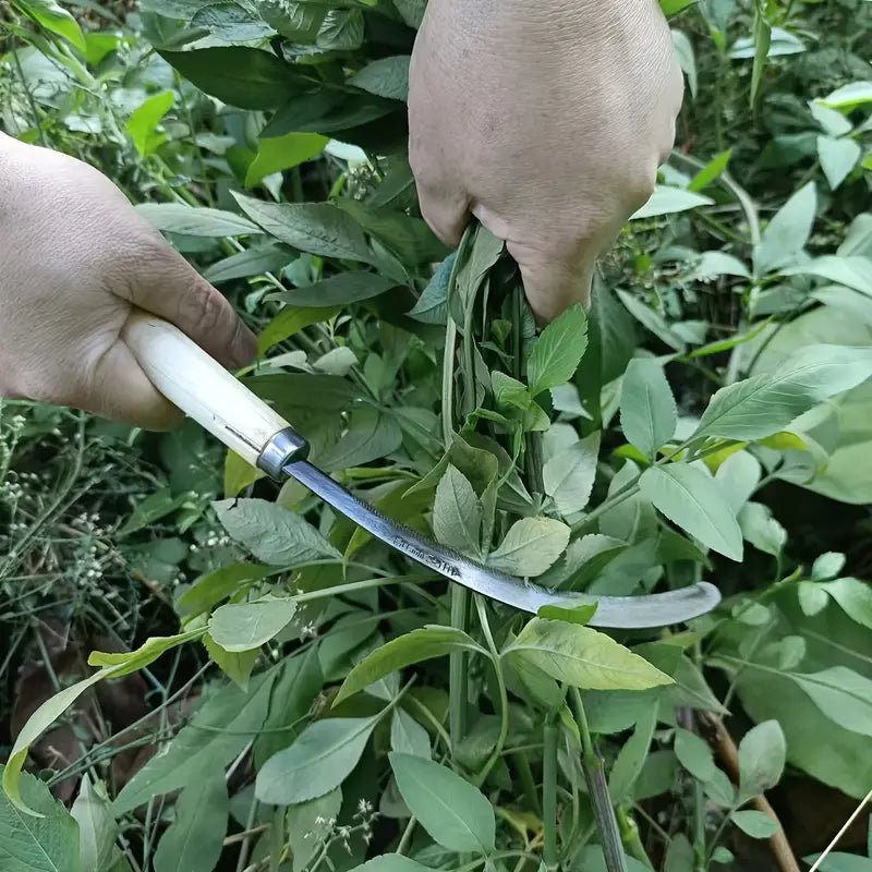 Stainless Steel Serrated Sickle - Bloomfields