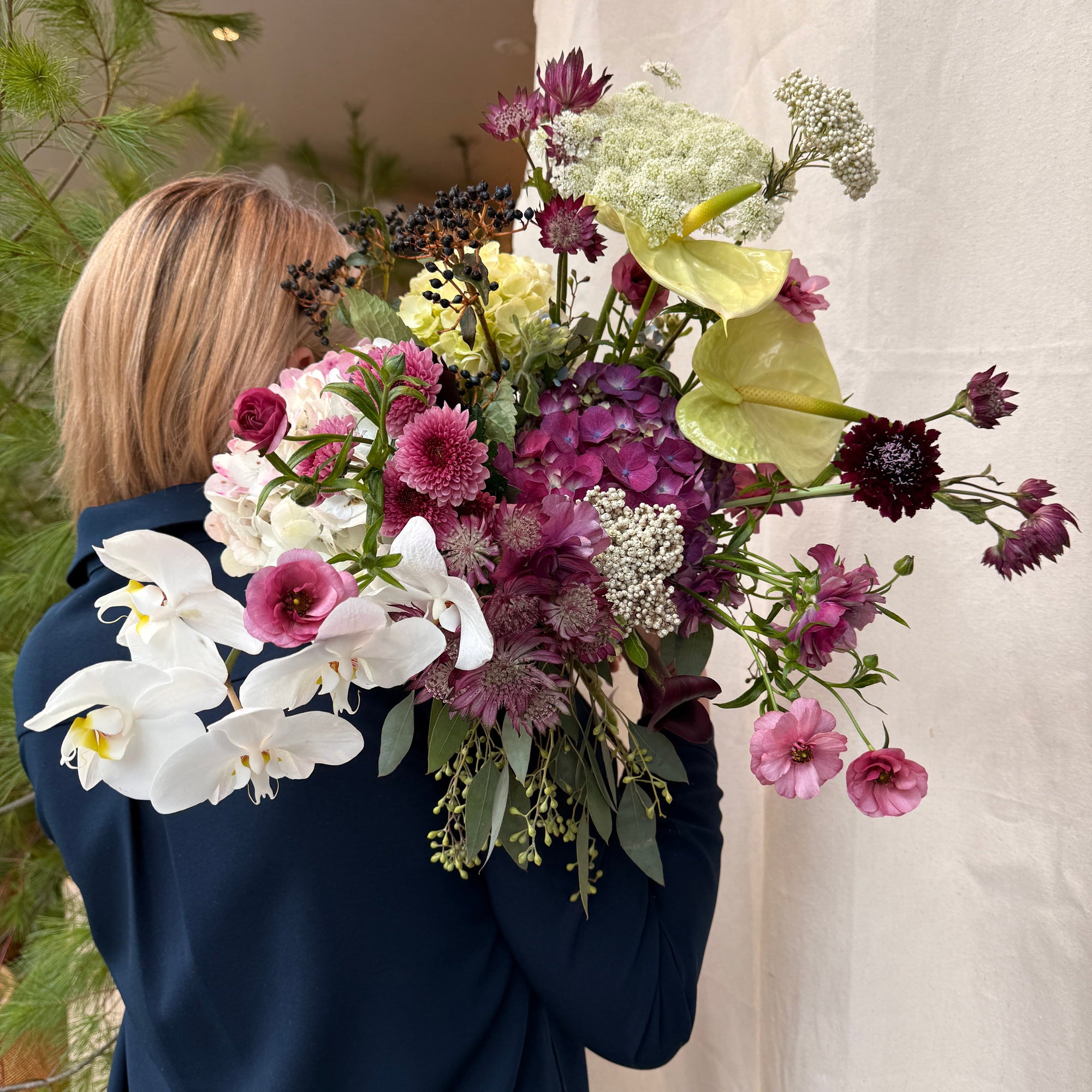 Sugar Plum - Bloomfields