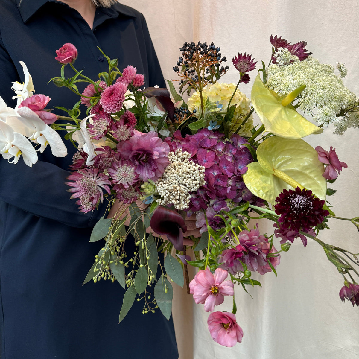 Sugar Plum - Bloomfields