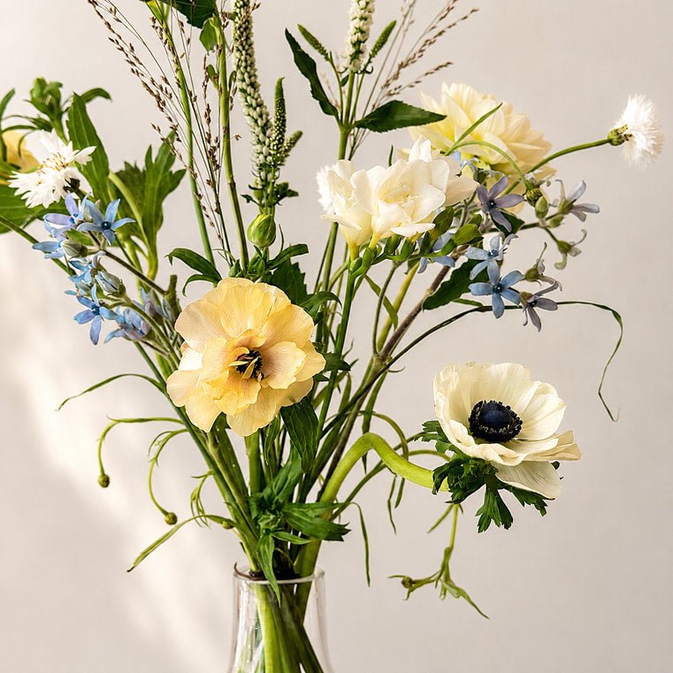 Summer Meadow - Bloomfields