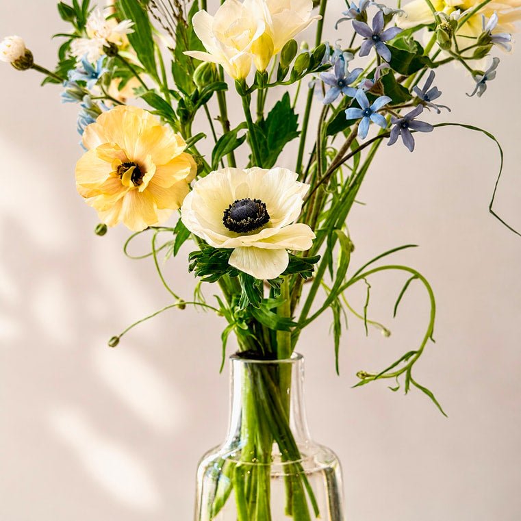 Summer Meadow - Bloomfields