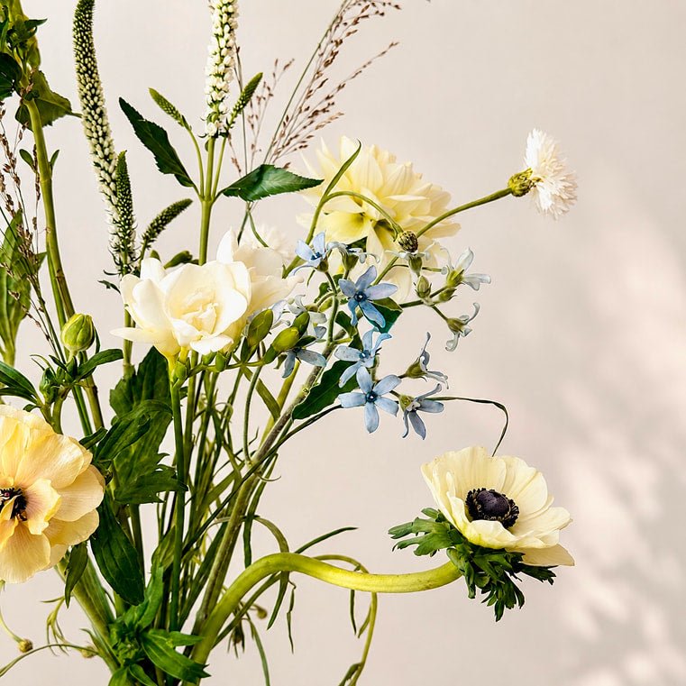 Summer Meadow - Bloomfields