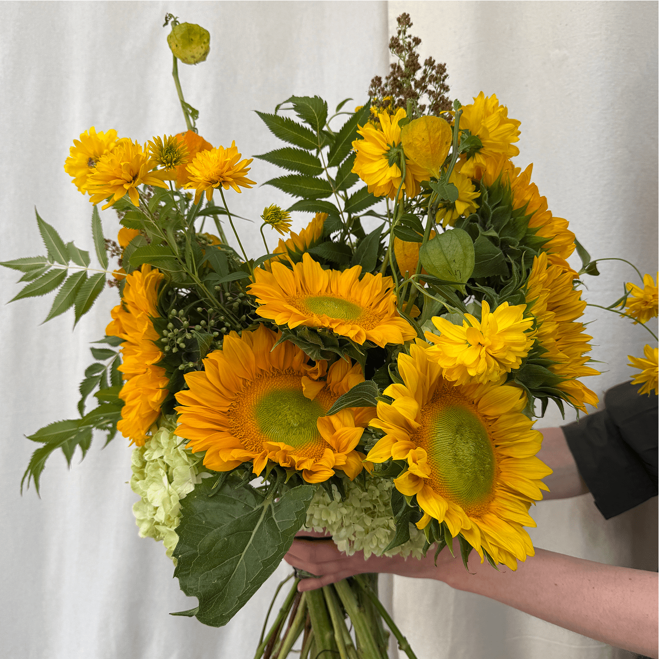 Sunflower - Bloomfields