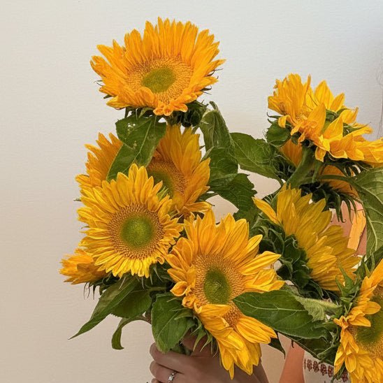 Sunflower Market Bunch - Bloomfields