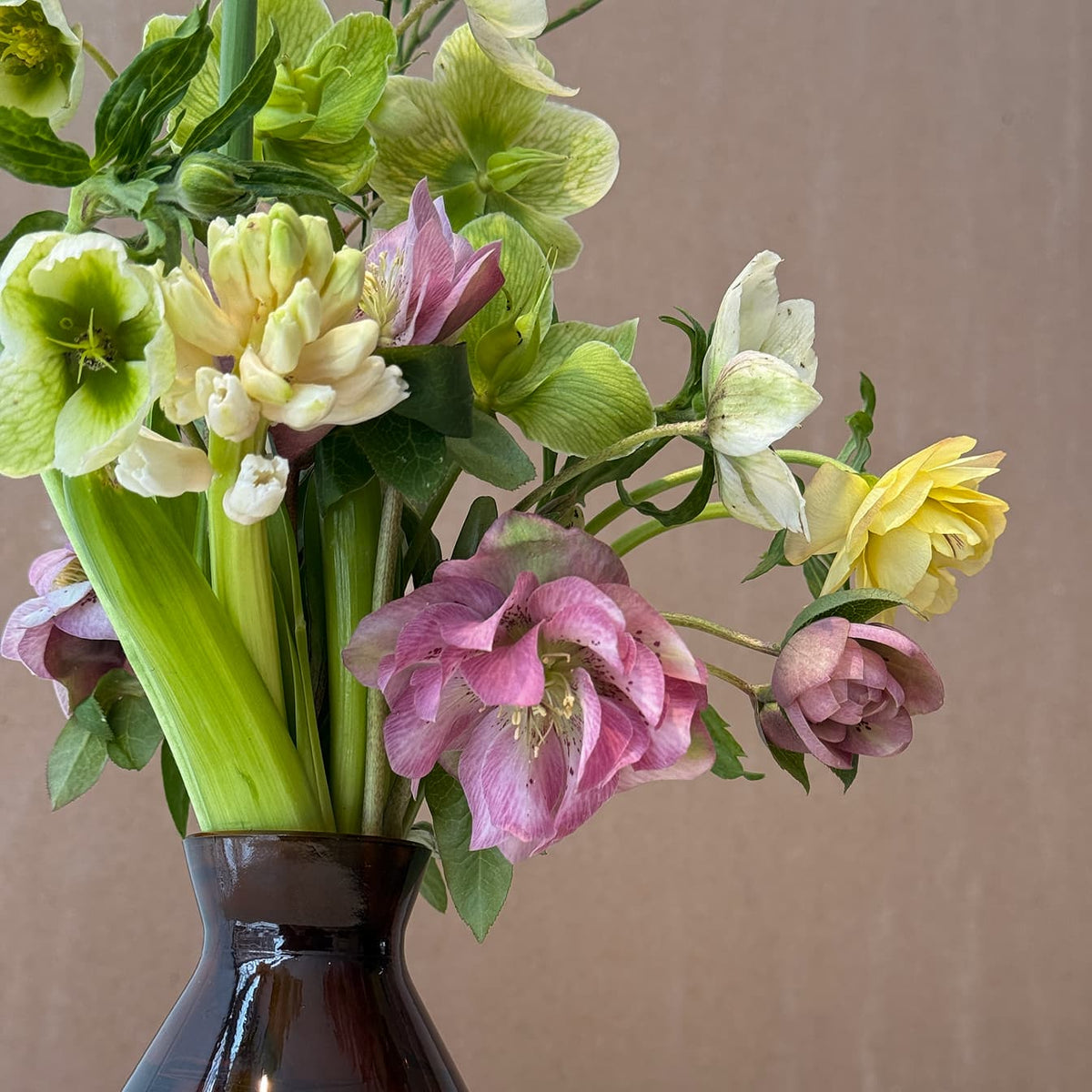 Sunlight - Bloomfields