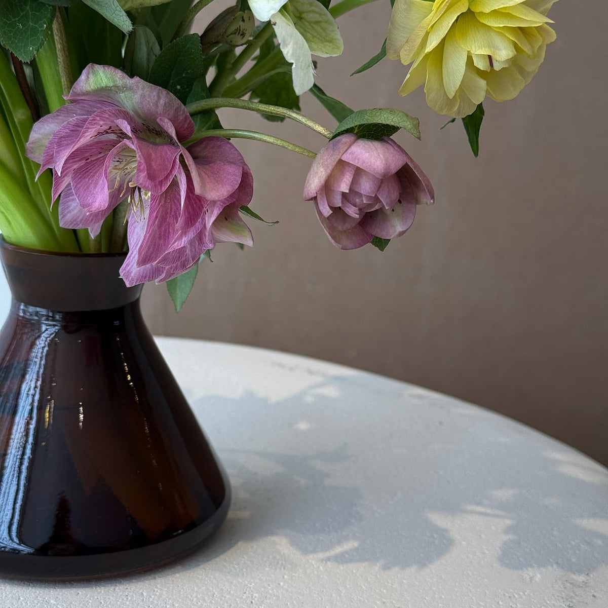 Sunlight - Bloomfields