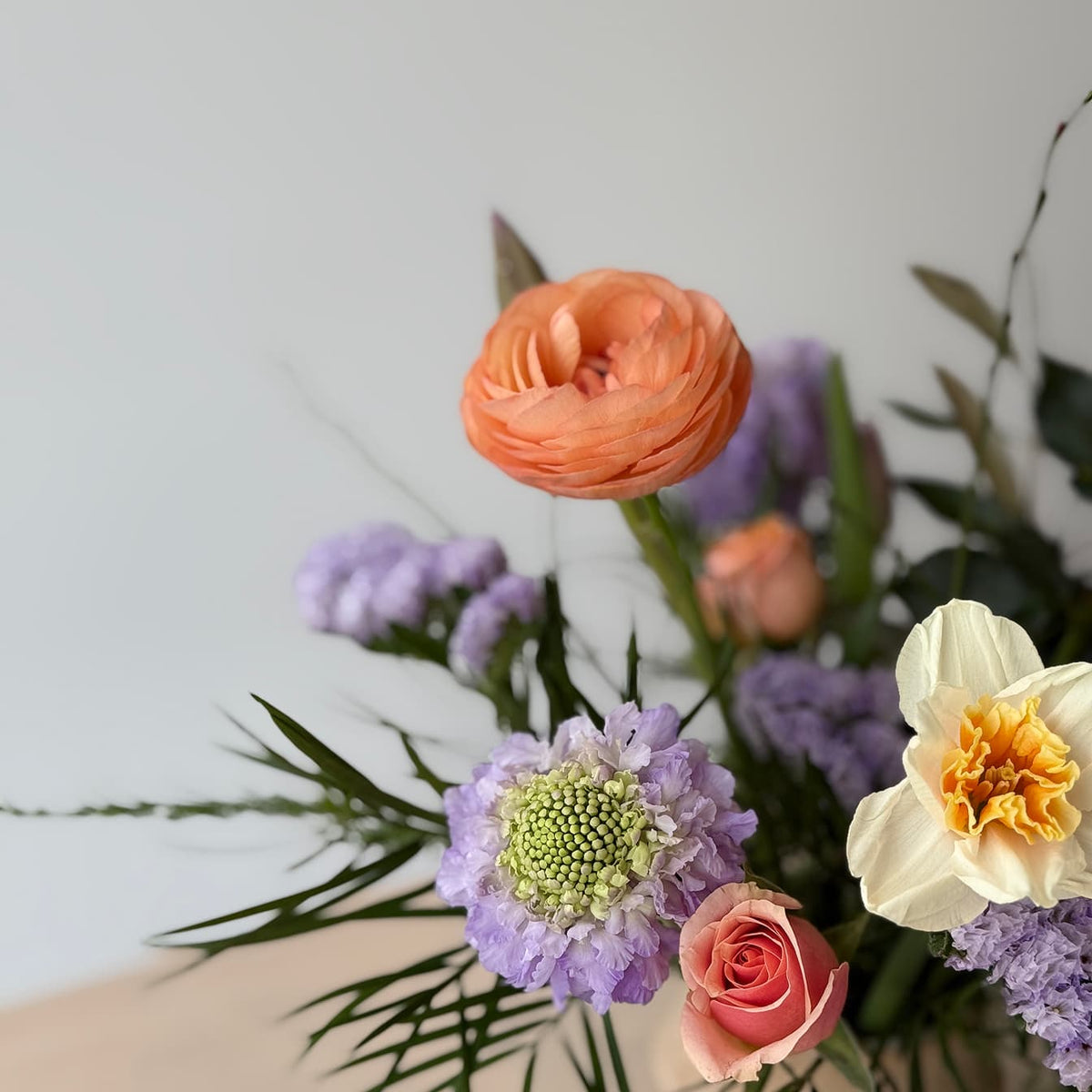 Symphony Cup - Bloomfields