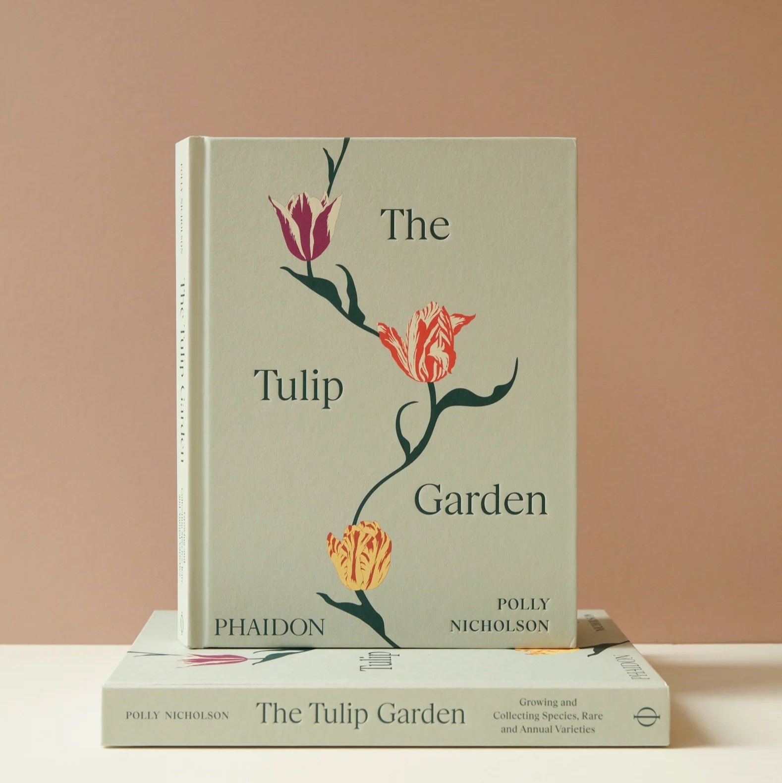 The Tulip Garden - Bloomfields