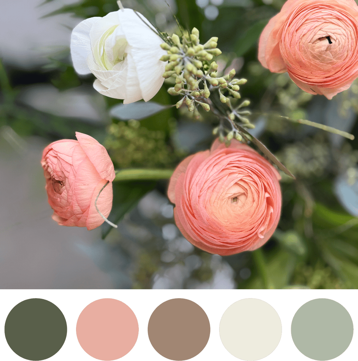 Valentine's Ranunculus Bouquet - Bloomfields