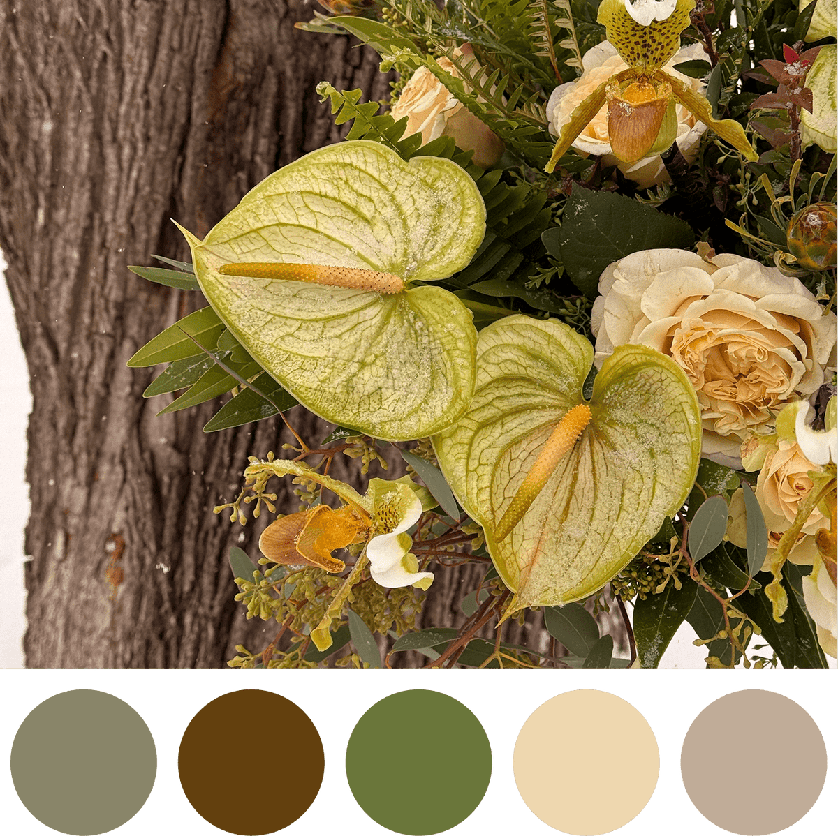 Warmth Within - Bloomfields