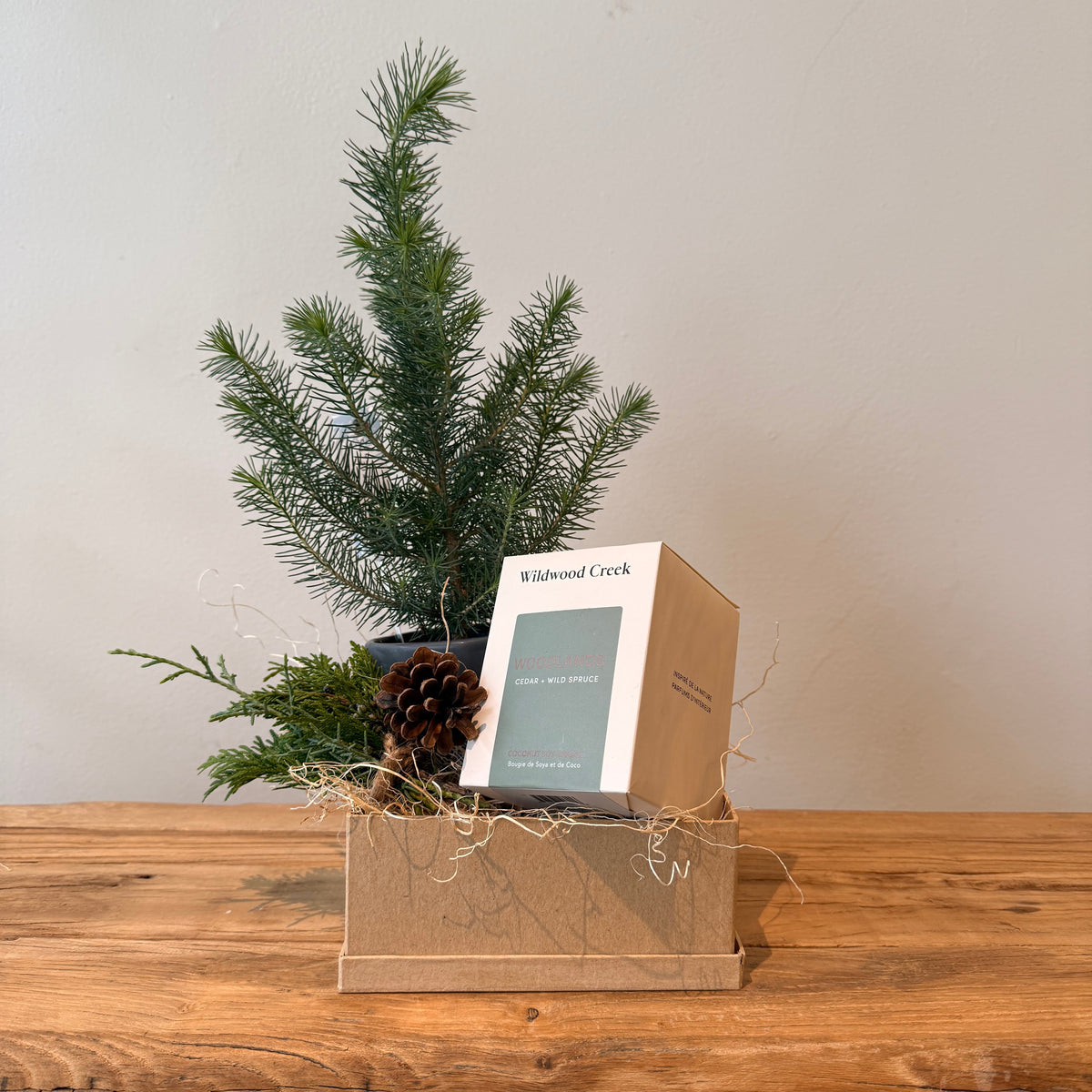 Wildwood Comfort Box - Bloomfields