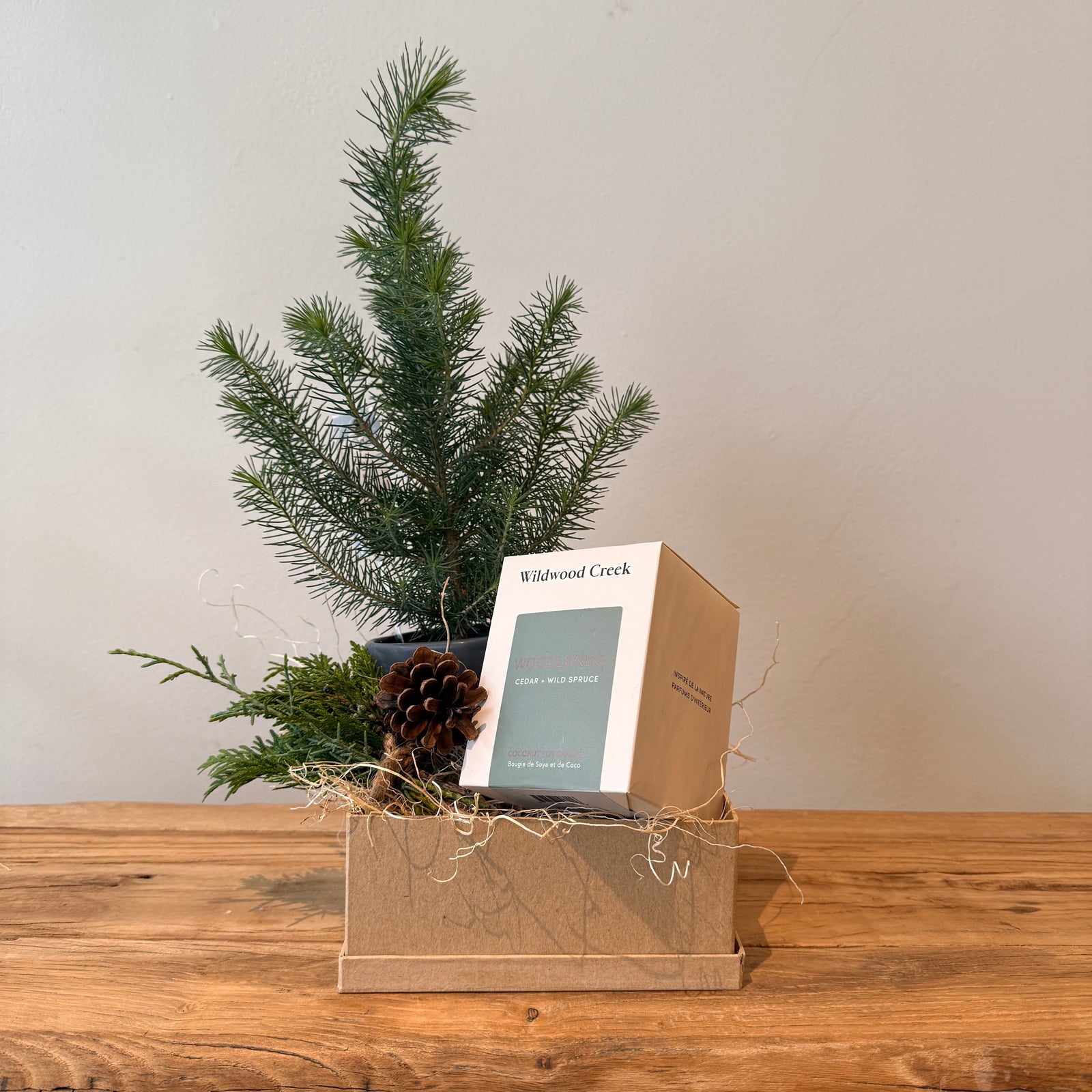 Wildwood Comfort Box - Bloomfields