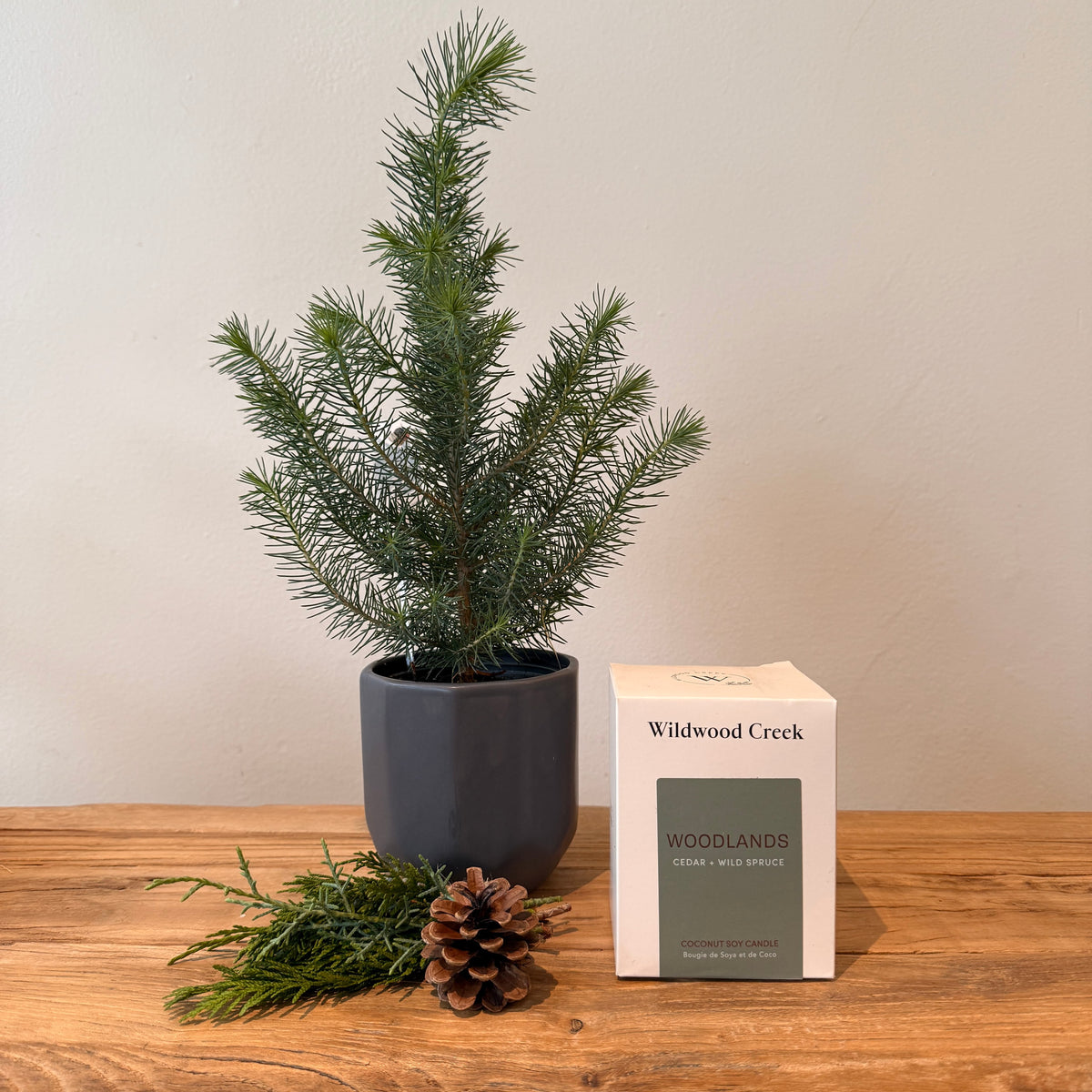 Wildwood Comfort Box - Bloomfields