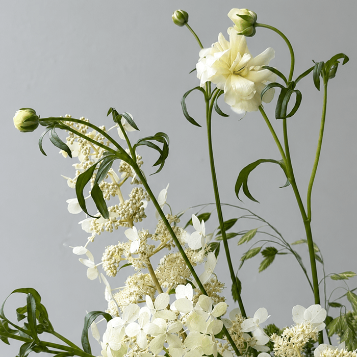 WISP | Arrangement - Bloomfields