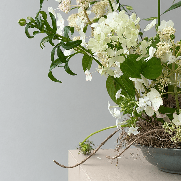 WISP | Arrangement - Bloomfields