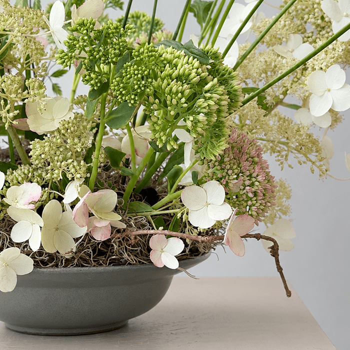 WISP | Arrangement - Bloomfields