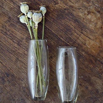 Bitters Co. Wall Glass Vases - Bloomfields