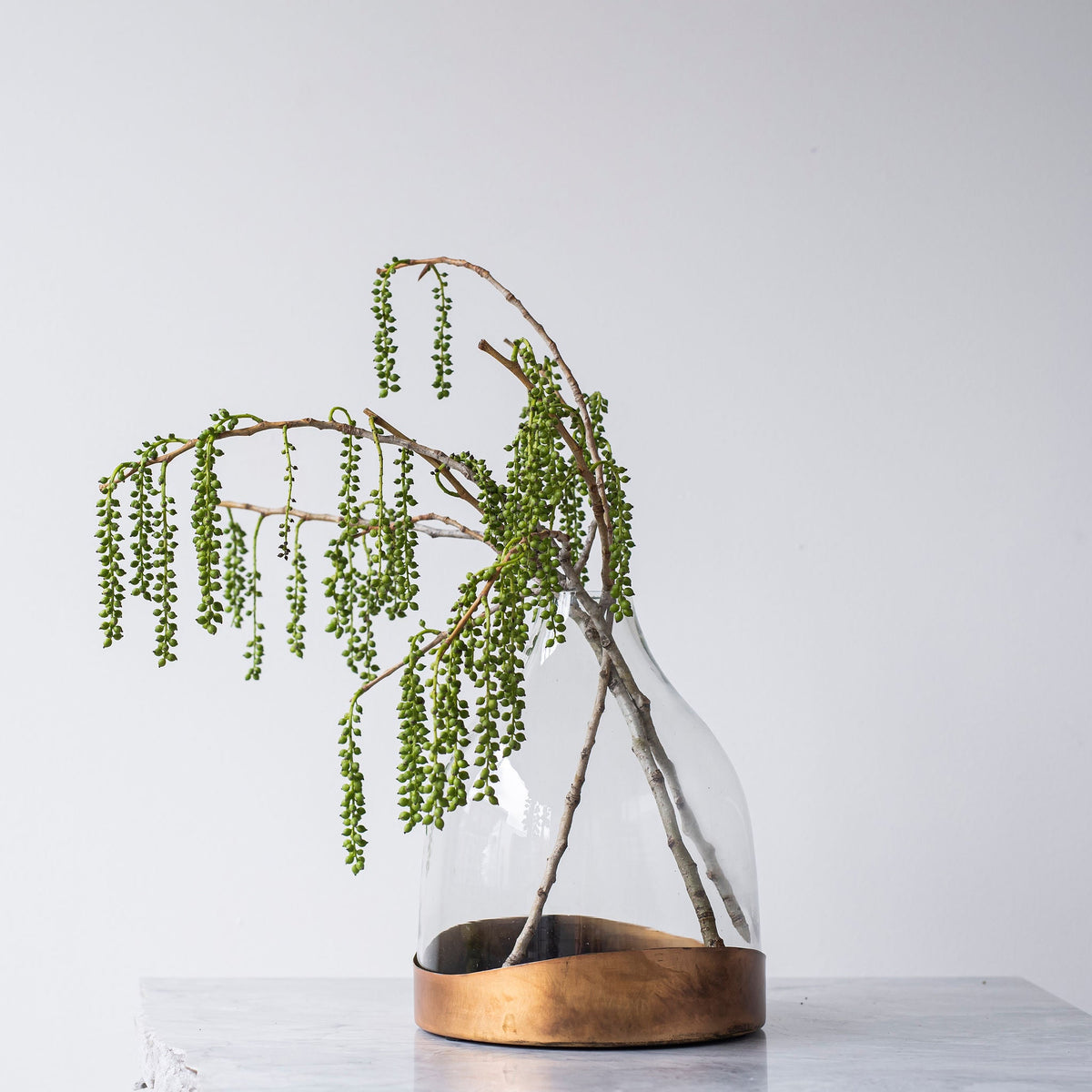 Cloche with Copper Tray - Bloomfields